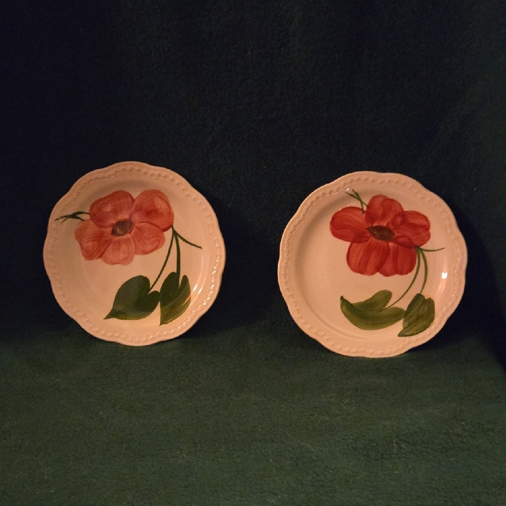 Hand-Painted Floral Dinner Plates - Red and Green